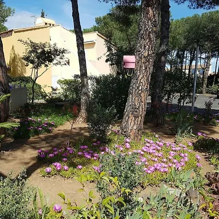 Location Cap Agde, Sud, Clim, Parking, Deco Nature Apartment